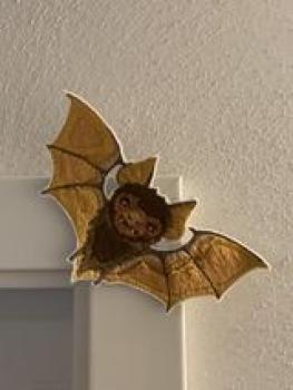Vollstickdatei Fledermaus Fridolin